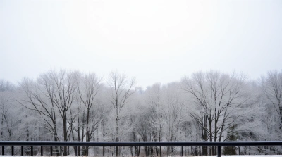Balcony View With Frosted Branches And Pale Sky