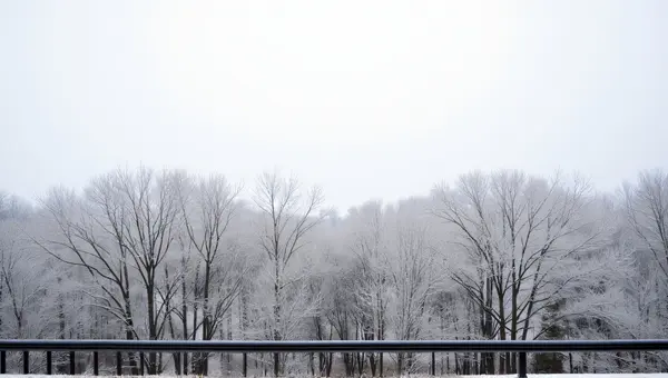 Balcony View With Frosted Branches And Pale Sky
