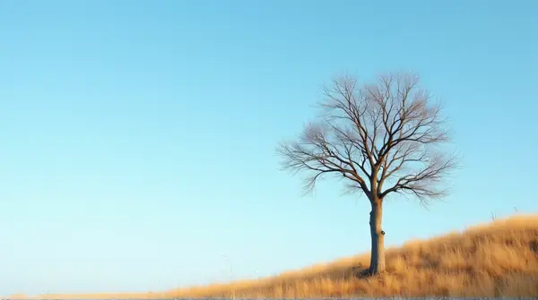 Solitary bare brown tree trunk with intricate branches beside a sunlit gentle incline and blue sky.