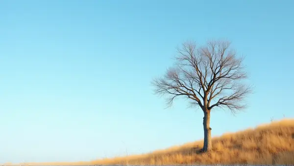 Bare Brown Tree Trunk With Sunlit Branches Sky