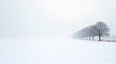 Bare Trees Along Snowfield Under Pale Sky