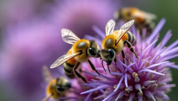 Bees Collecting Nectar On Purple Flower Spikes