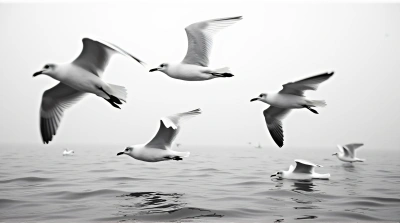 Black And White Seagulls Flying Over Rippling Lake
