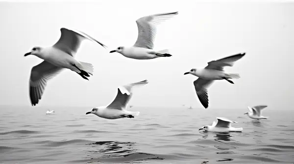 Black and white image of seagulls flying above a rippling lake with strong contrast.