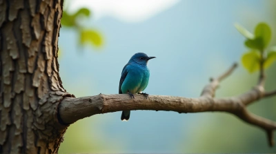 Blue Bird Perched On Tree Branch With Sky