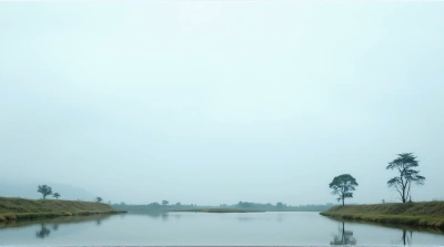 Calm Lake Scene Surrounded by Green Grass and Trees