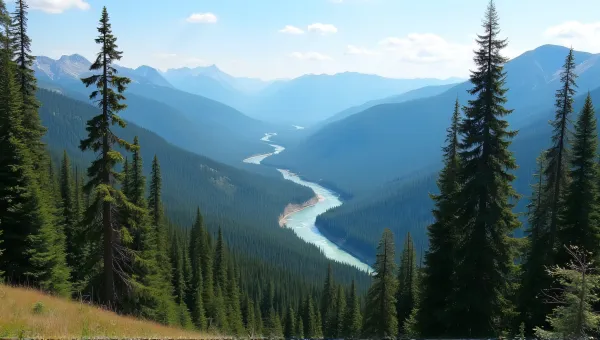 Canadian Pine Forest River Landscape Scenic Nature