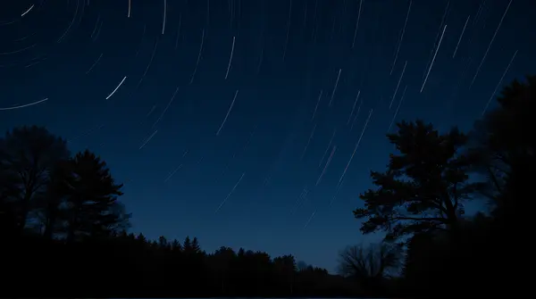 Celestial Light Trails with Silhouetted Trees