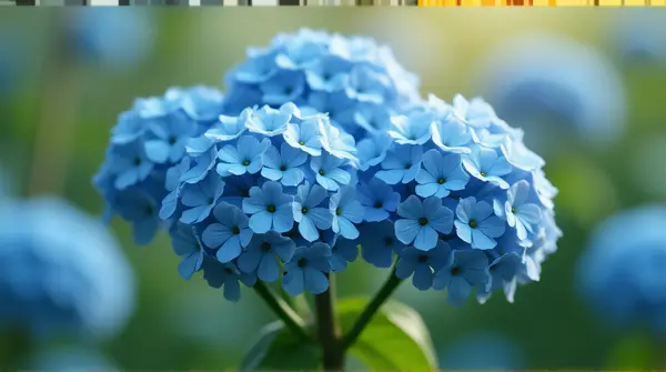 Cerulean Clustered Blossoms With Soft Background