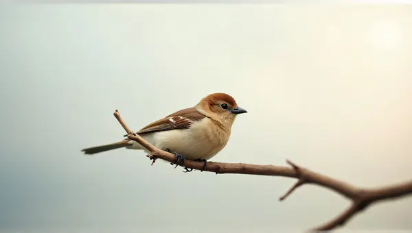 Chestnut Feathered Bird Resting On Twig