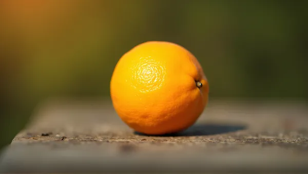 Citrus Fruit Sphere With Texture Contrast