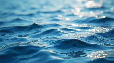 Close-Up Of Fluid Patterns And Dynamic Contours