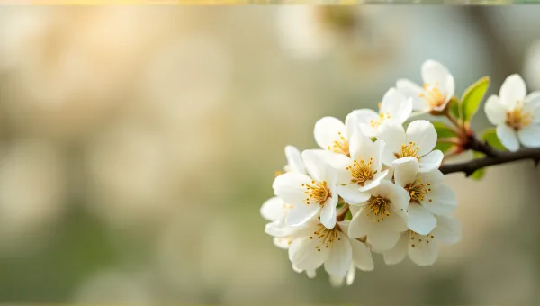 Close-Up Golden Blooms With Miniature Effect