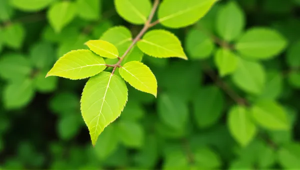Close-Up Leaf Detail Vibrant Natural Texture
