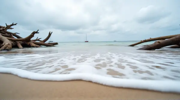 Coastal Shoreline With Driftwood And Sailboats