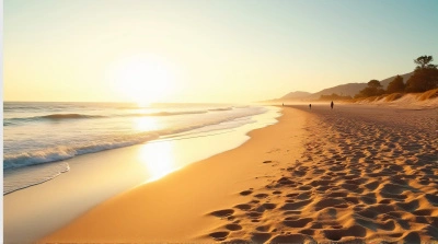 Coastal Shoreline With Warm Amber Light And Textured Sand