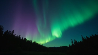 Colorful Light Ribbons Above Quiet Wilderness