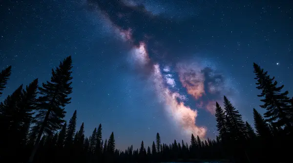 Colorful Star Clusters Above Quiet Forest Edge