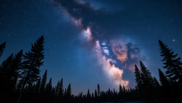 Colorful Star Clusters Above Quiet Forest Edge