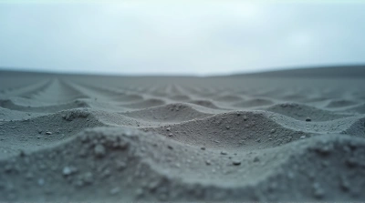 Compacted Granular Earth Texture Across Barren Landscape