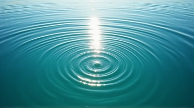 Concentric Circles On Clear Lake Surface Under Sunlight
