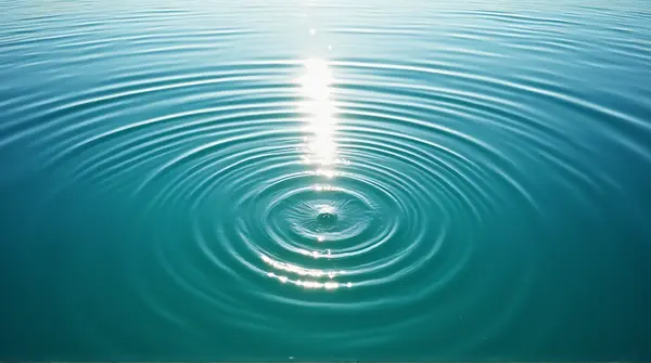 Concentric Circles On Clear Lake Surface Under Sunlight