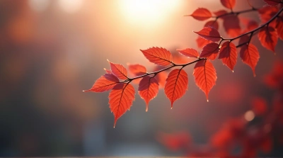 Crimson Leaves Close-Up With Soft Light