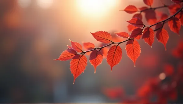 Crimson Leaves Close-Up With Soft Light