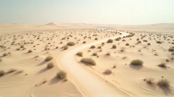 Overhead view of a winding sandy path with scattered shrubs beneath a clear blue sky.