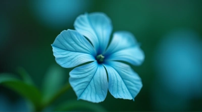 Cyan Flower Macro Showing Texture And Veins