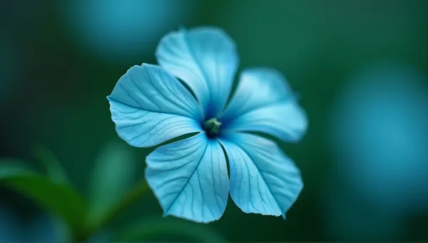 Cyan Flower Macro Showing Texture And Veins