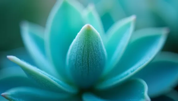 Cyan Teal Foliage Texture In Soft Light