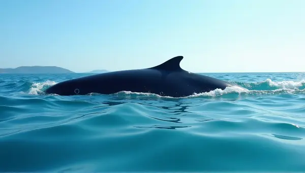 Dark Cetacean Swimming Through Aquamarine Waves