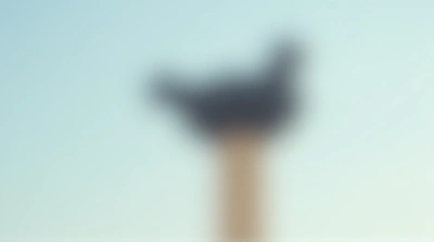 Dark Feathered Animal Resting On Painted Post