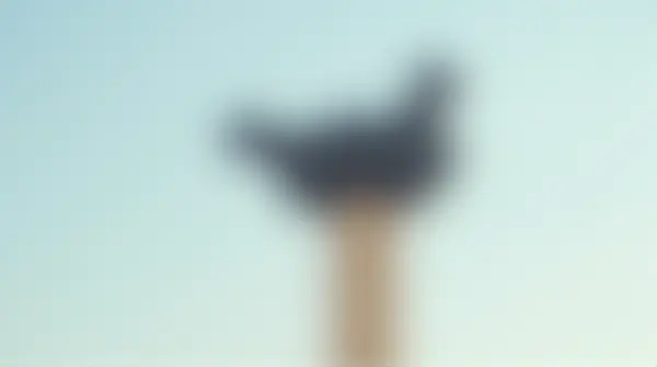 Dark-feathered animal resting on a pale painted post against a soft sky background.