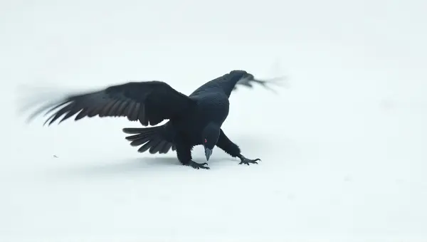 Dark Feathered Raptor In Mid Glide
