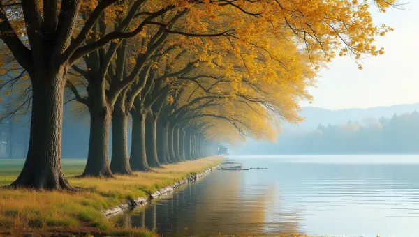 Deciduous Trees Reflected On Serene Lake Surface