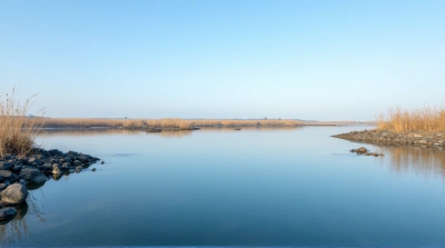 Deep Blue Water Surface Near Rocky Shoreline