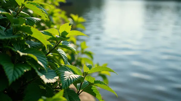 Dense Foliage Beside Tranquil Lake Scene