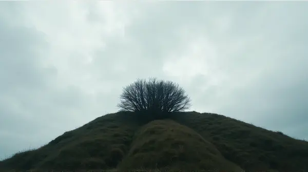 Dense foliage atop a steep hill under a textured overcast sky viewed from a low angle.