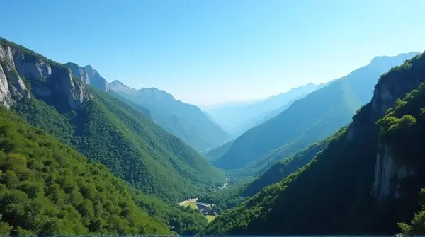 Dense green forest covering steep hillside beneath a clear blue sky with distant peaks and scattered rocks.