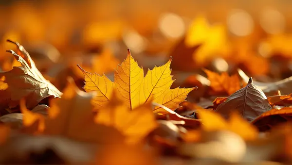 Detailed Fallen Leaves With Textured Veins Close-Up