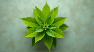Detailed Leaf Cluster With Intricate Veins