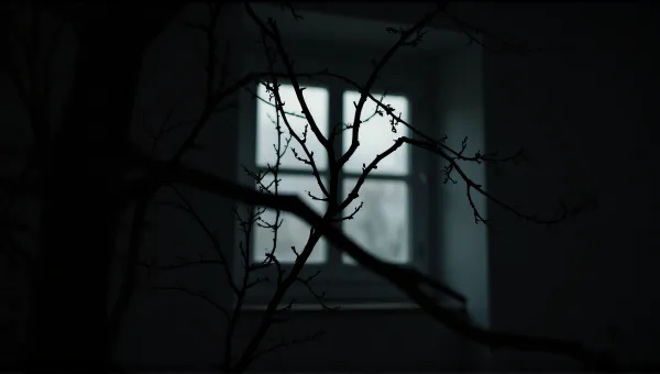 Dimly Lit Window With Leafless Branches Texture