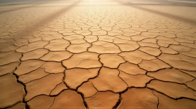 Dry Cracked Earth Texture Aerial View