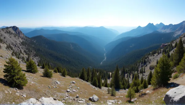 Elevated Terrain With Trails And Evergreen Clusters