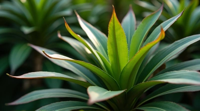 Emerald And Chestnut Leaves Botanical Arrangement
