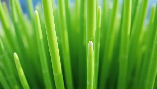 Emerald Vertical Canes Close-Up Glow