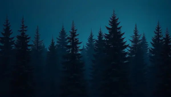 Evergreen Conifers Silhouetted Against Indigo Sky