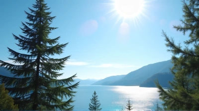 Evergreen Tree Beside Shimmering Lake Under Sunlight